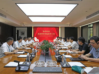 拼經濟 促發展！溫州灣新區黨工委副書記謝忠誠率隊赴集團開展調研督導活動